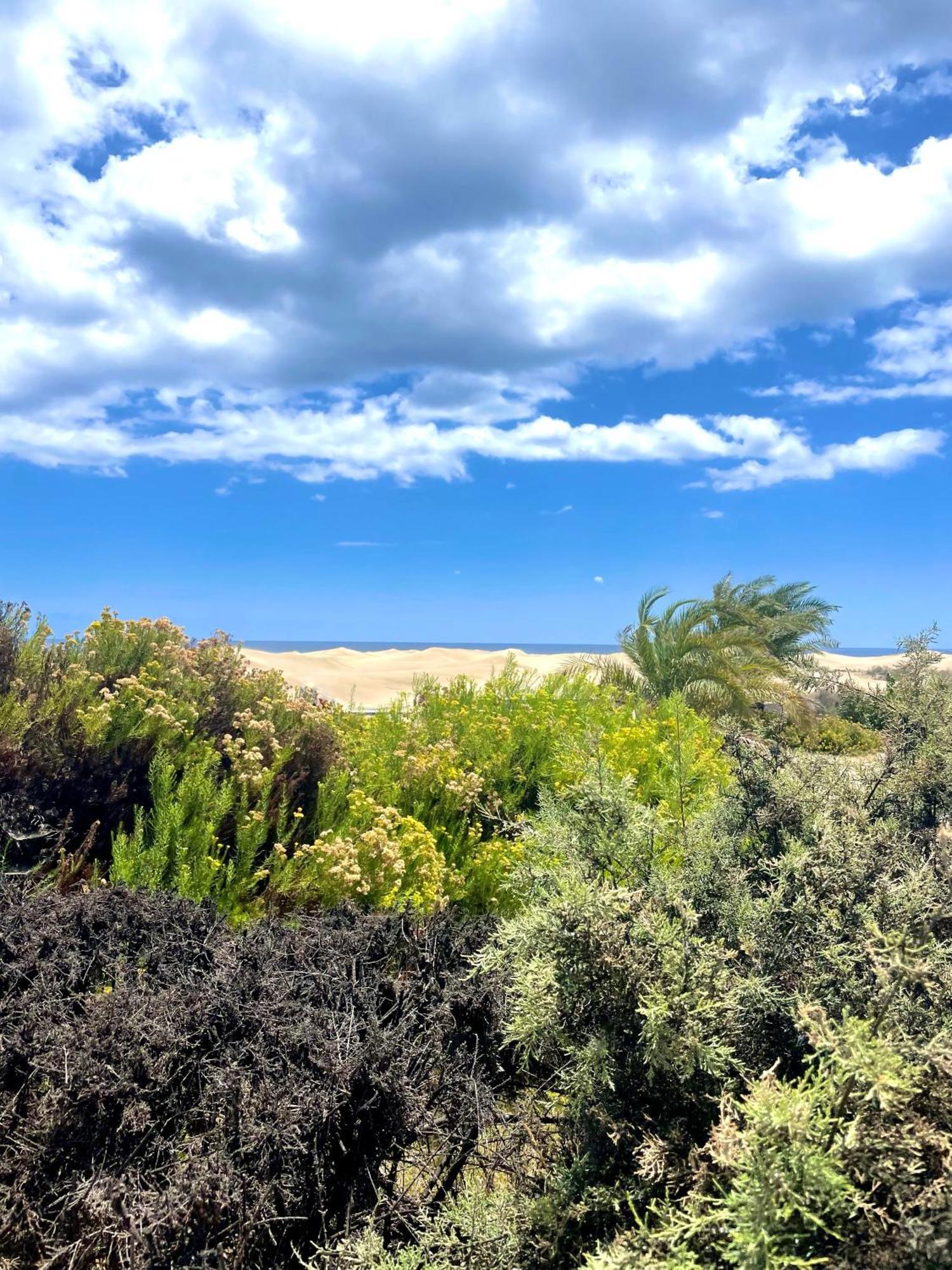 Moon Dunes Apartment - By Yumbo Center - Playa Del Ingles מראה חיצוני תמונה